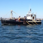 Newark Bay