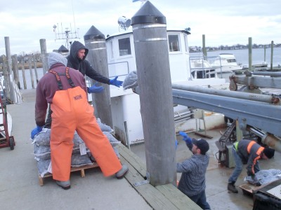 Bloom Bros. Unloading